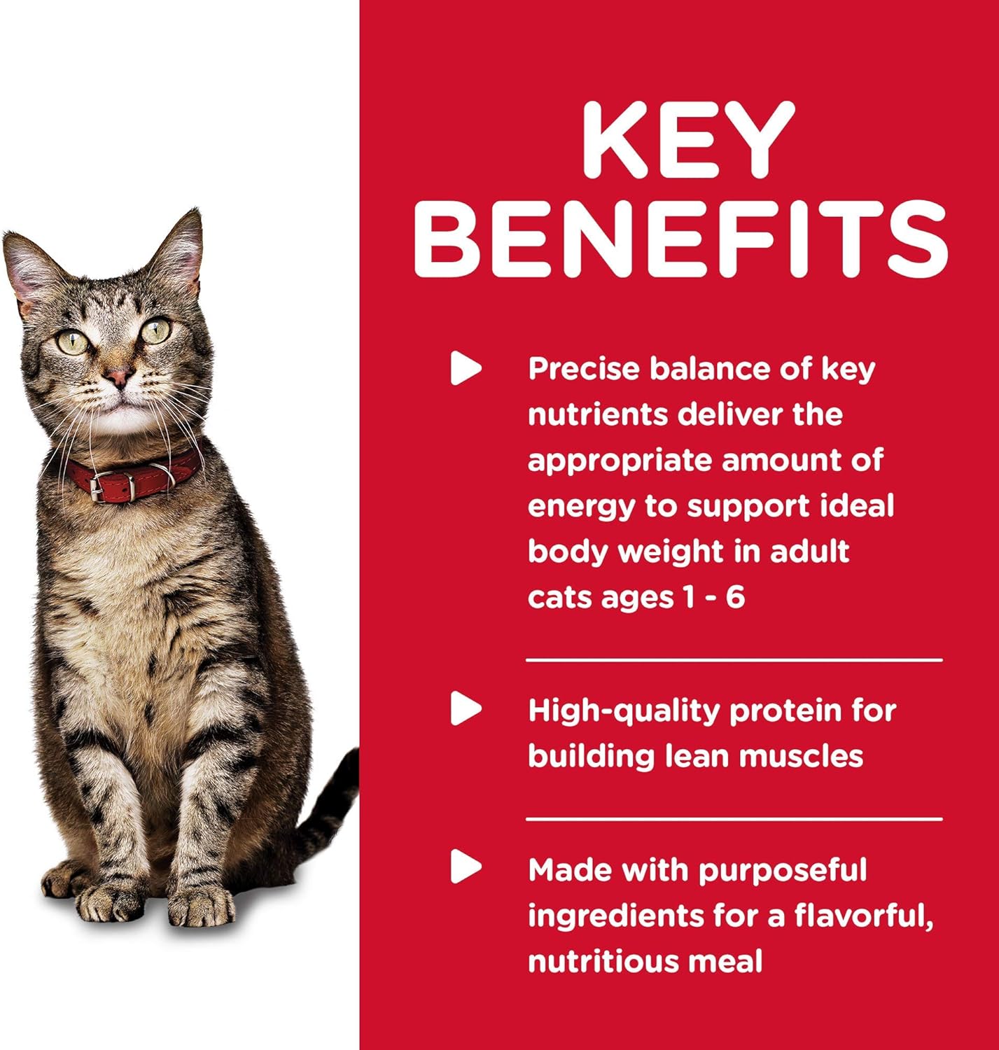 Hill's Science Diet Adult 1-6, Adult 1-6 Premium Nutrition, Wet Cat Food, Salmon Minced, 5.5 oz Can, Case of 24