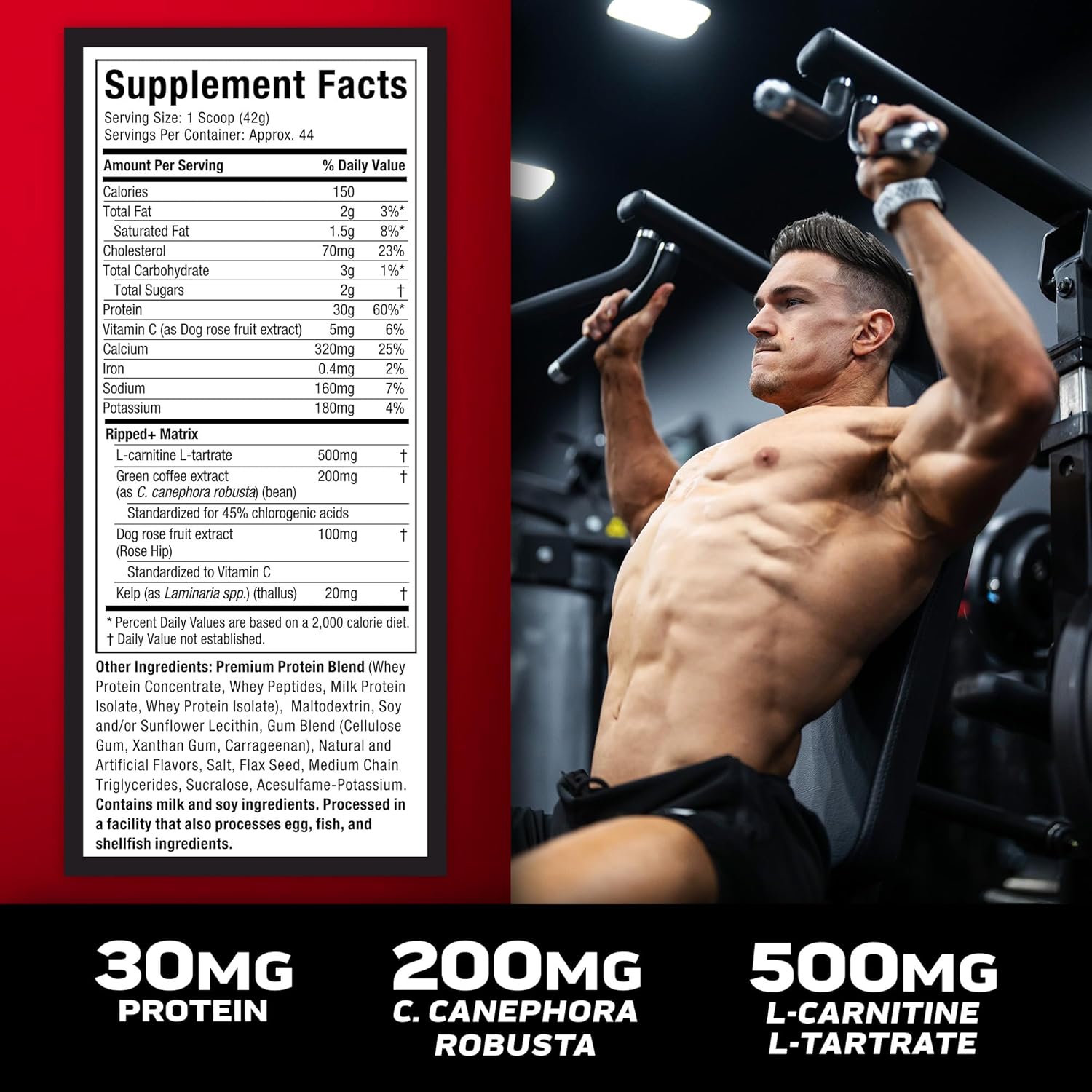 Muscletech Whey Protein Powder (French Vanilla Bean, 4LB) - Nitro-Tech Ripped Whey Protein Isolate & Peptides Smoothie Mix for Lean Muscle & Fast Recovery - 30g of Whey Protein for Women & Men : Health & Household