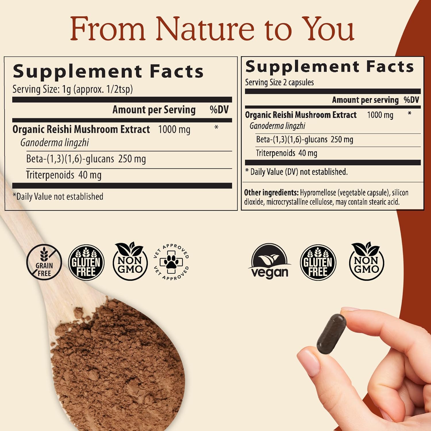 Real Mushrooms Peak Performance Bundle - Lion's Mane + Reishi + Cordyceps-M Certified Organic Mushroom Powders for Vitality, Immunity & Longevity : Health & Household