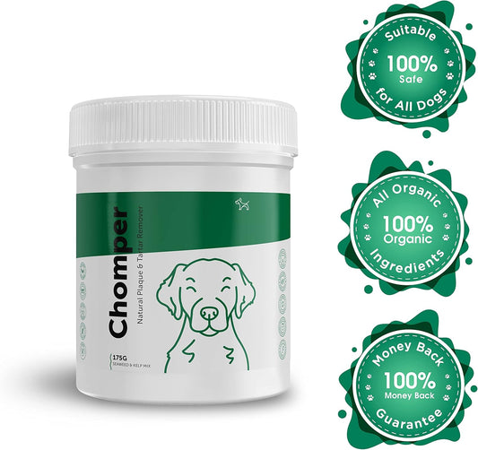 Dog's Lounge - CHOMPER - Tartar & Plaque Removal for Dogs | 100% Natural & Organic Seaweed & Kelp Blend | Dental Supplement for Bad Breath | 175g