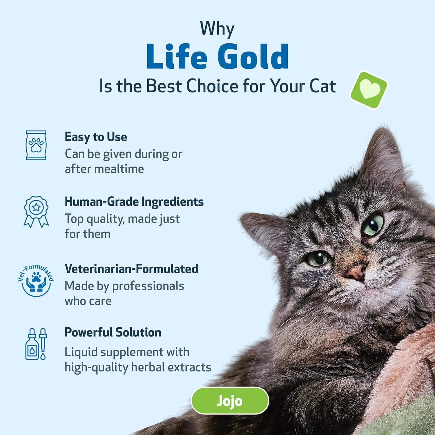 Pet Wellbeing Life Gold for Cats - Immune Support, Antioxidants, Detoxification, Cellular Health, Astragalus, Blessed Thistle, Sheep Sorrel - Veterinarian-Formulated Herbal Supplement 2 oz (59 ml) : Pet Supplies