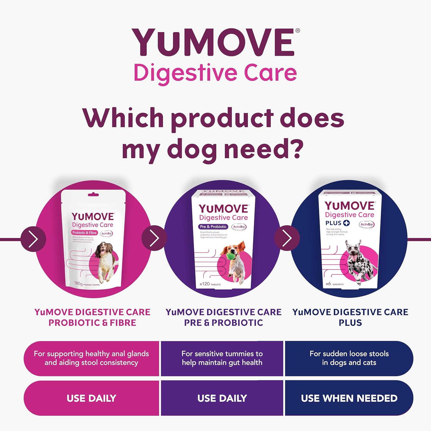 YuMOVE Digestive Care for All Dogs | Previously YuDIGEST | Probiotics for Dogs with Sensitive Digestion, All Ages and Breeds | 120 Tablets :Pet Supplies