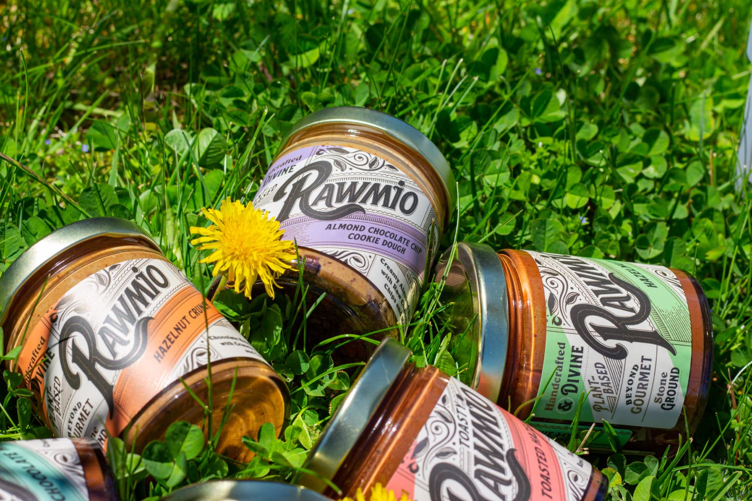 Rawmio Almond Chocolate Chip Cookie Dough Spread, 6 Oz. Jar, 6 Serving Per Jar - Raw, Organic, Vegan, Gluten-Free : Grocery & Gourmet Food
