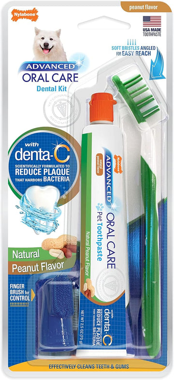 Nylabone Advanced Oral Care Natural Dog Dental Kit Peanut Flavor 2.5 oz