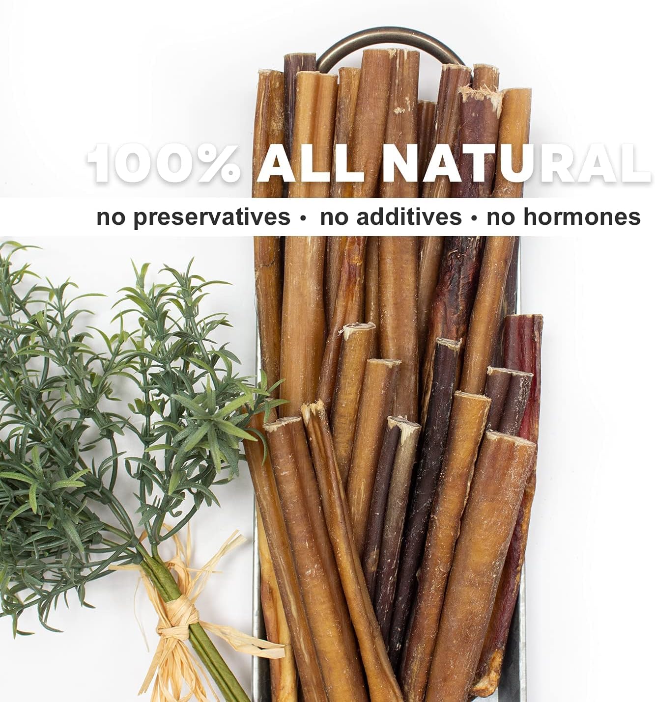 Downtown Pet Supply 6-inch Bully Sticks for Dogs, Pack of 30 - Single Ingredient, Nutrient-Rich and Odor Free Bully Sticks for Dogs - Rawhide Free Dog Chews Long Lasting and Non-Splintering : Pet Rawhide Treat Sticks : Pet Supplies