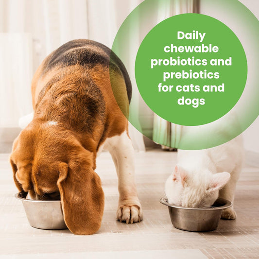 Protexin Pet Health Pro-Balance Probiotic For Dogs And Cats – Daily Chewable Probiotic And Prebiotic Tablet For Digestive Health Support – Pack Of 30Pet-001