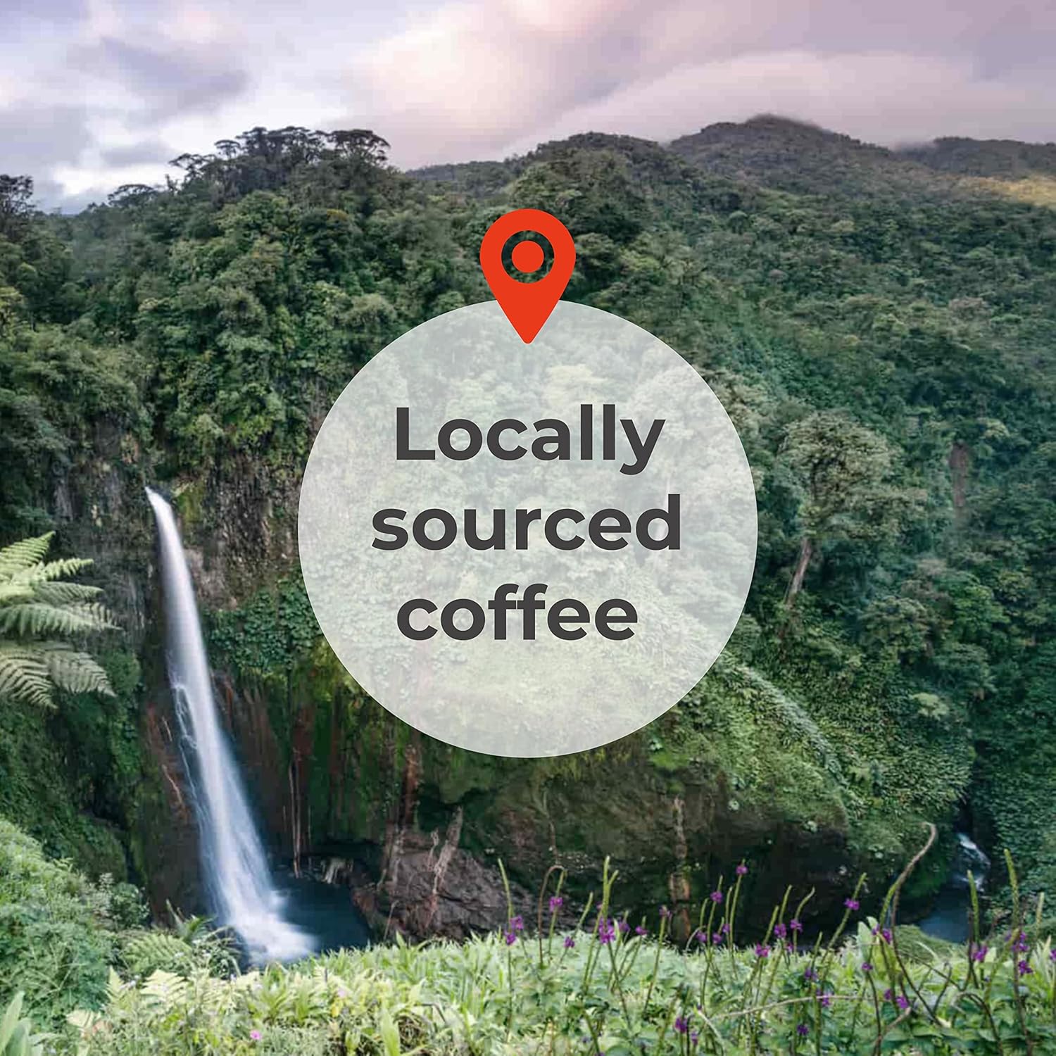 Coffee From Costa Rica Medium Roast Ground - 1 Bag (12Oz) - 100% Fresh Arabica Beans - By Liquid Gold - Local Athentic Sourced Coffee From Costa Rican Farmers - Made And Roasted In Usa
