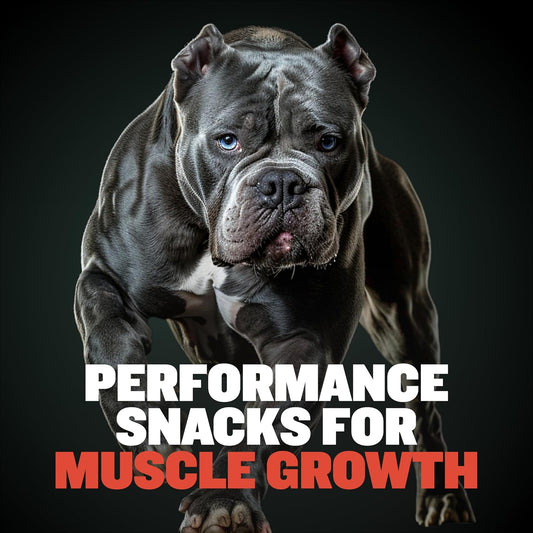 Bully Max Premium High Protein Dog Treats For Puppy & Adult Dogs - Training Dog Food Treats With 32% Protein, Real Meat, Veggies & Bcaas For Small, Medium & Large Breeds, Beef Flavor, 400G Bag