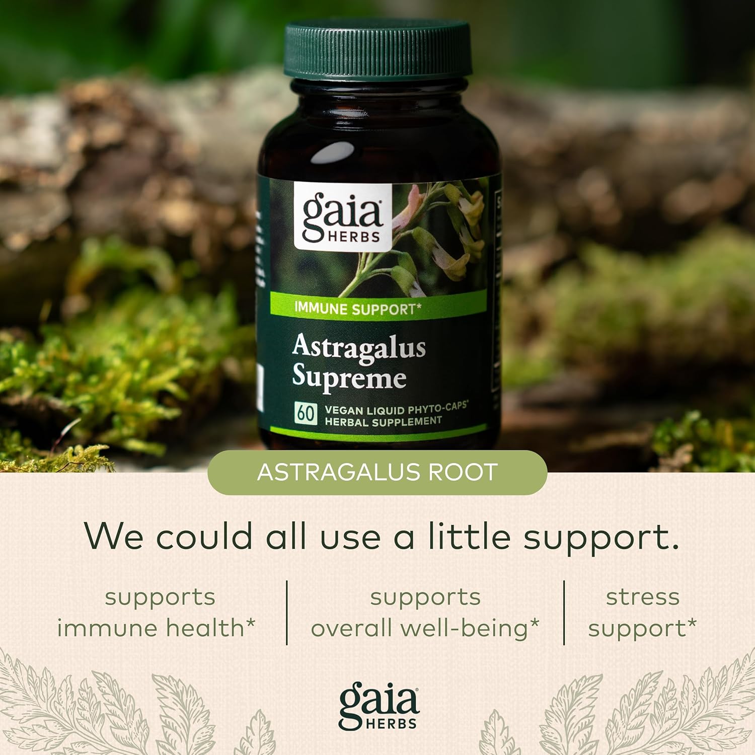 Gaia Herbs Astragalus Supreme - Immune and Antioxidant Support Herbal Supplement - with Astragalus Root, Schisandra Berry, and Ligustrum - 120 Vegan Liquid Phyto-Capsules (30-Day Supply) : Health & Household