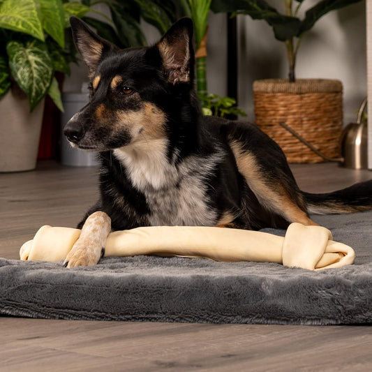 Pet Factory American Beefhide 20-22" Knotted Bone Dog Chew Treat - Natural Flavor, 1 Count/1 Pack