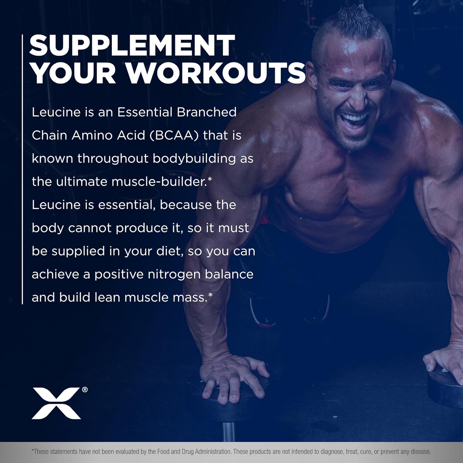 ALLMAX Nutrition Leucine 5,000 mg, 14.1 oz (400 g) : Health & Household