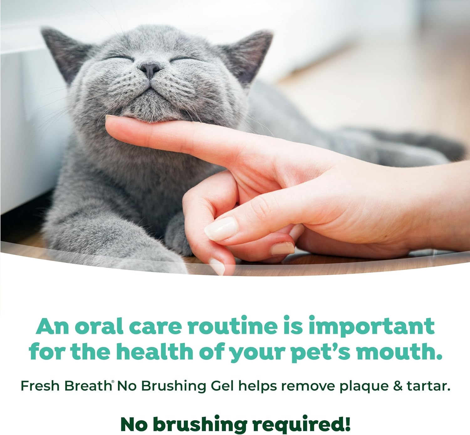 TropiClean Fresh Breath for Cats | No Brush Dental Gel for Cats | Cat Breath Freshener Toothpaste for Plaque, Tartar & Stinky Breath | Made in the USA | 2 oz. : Pet Dental Care Supplies : Pet Supplies