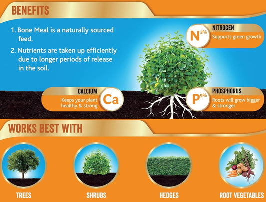 Westland Bonemeal Root Builder, 10 kg?20600003