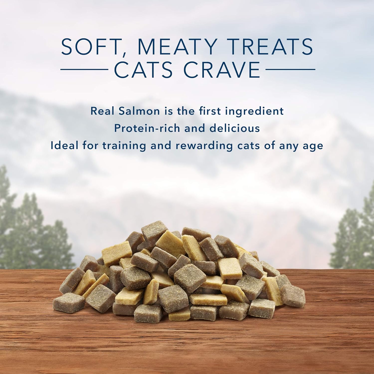 Blue Buffalo Wilderness Grain Free Soft-Moist Cat Treats, Chicken & Salmon 8-oz Bag : Pet Supplies