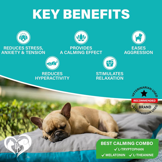 Beloved Pets Calming Chews for Dogs & Puppy and Cats -Pet Separation Anxiety Relief Soft Treats & Calm Behavior Aid - Melatonin for Sleep- Anti Stress Treatment Help with Thunder- Made in USA