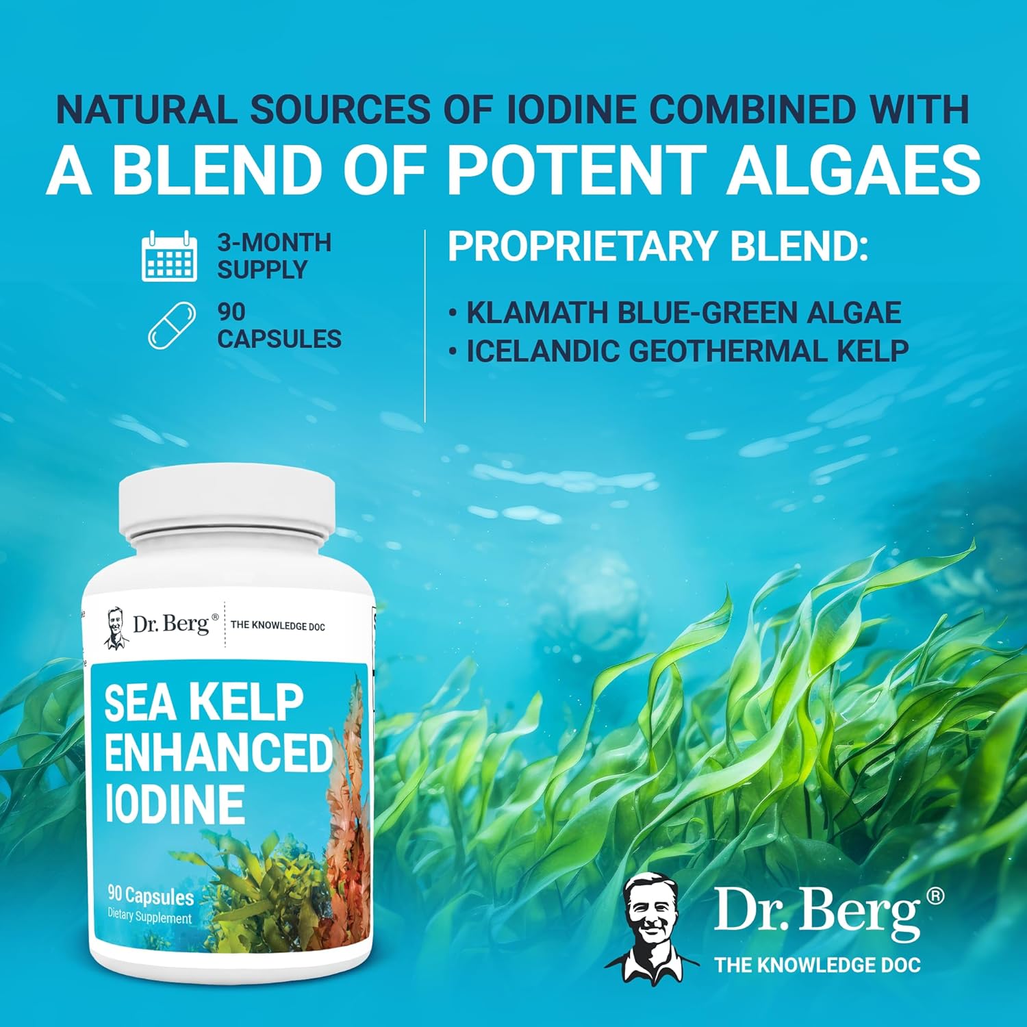 Dr. Berg Sea Kelp Enhanced Iodine - 200 mcg of Premium Iodine - Seaweed Blend Includes Klamath Blue-Green Algae & Sea Kelp - 90 Capsules : Health & Household