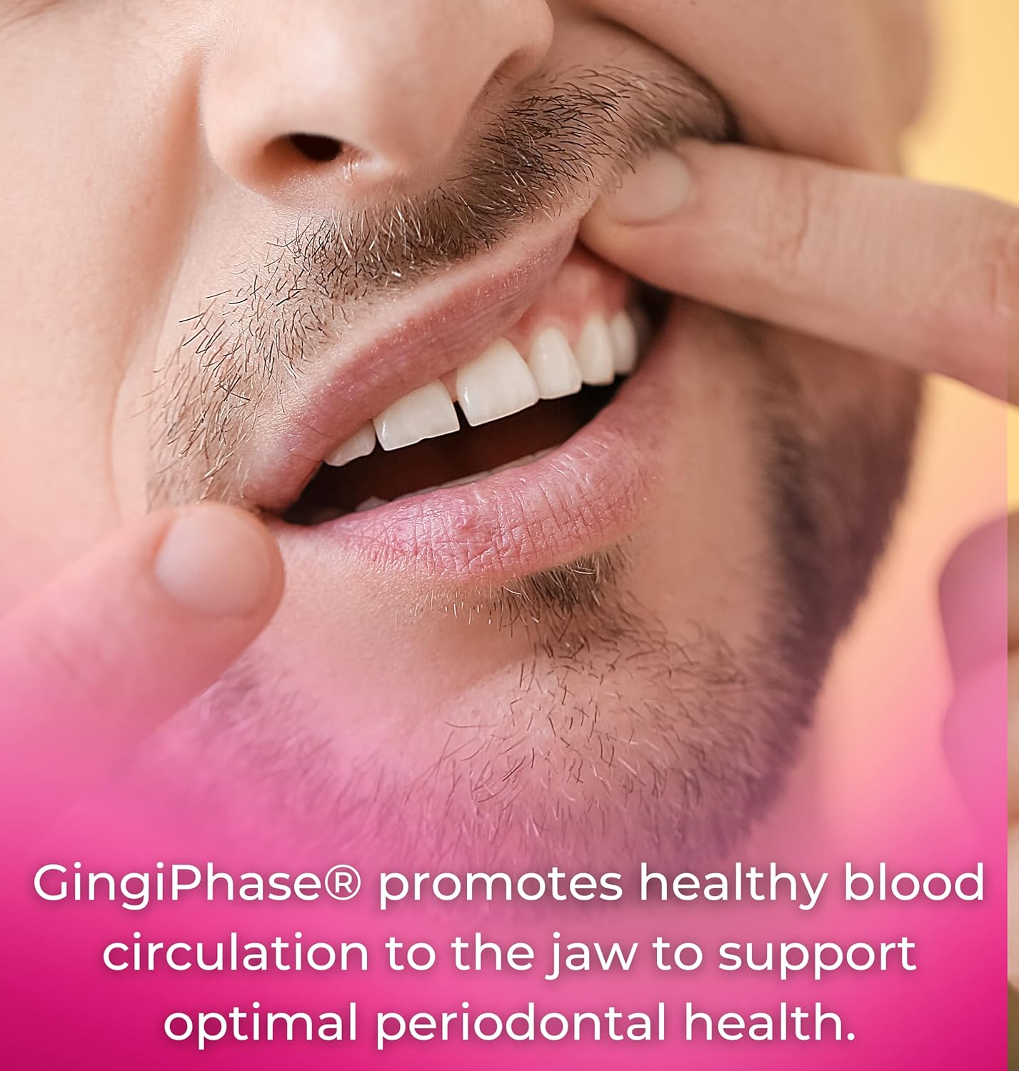 GingiPhase Natural Herbal Dental Support Supplement for Healthy Gums, Teeth, and Jaw Circulation (120 Capsules) : Health & Household