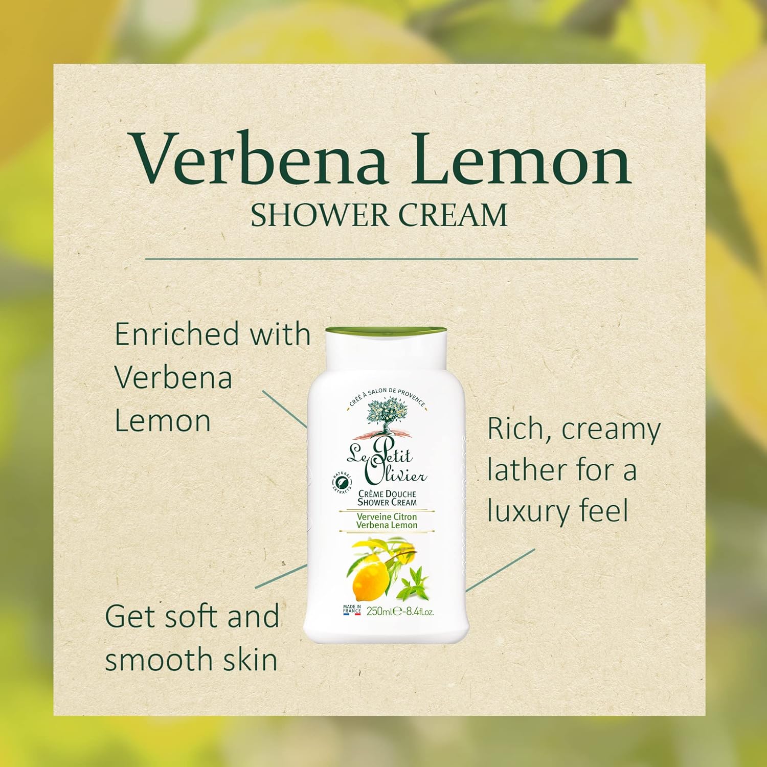 Le Petit Olivier Shower Gel - Aloe Vera - Gently Cleanses Skin - Fresh And Moisturizing - Ph Neutral - Dermatologically Tested - Free Of Soap And Dyes - 16.9 Oz : Beauty & Personal Care