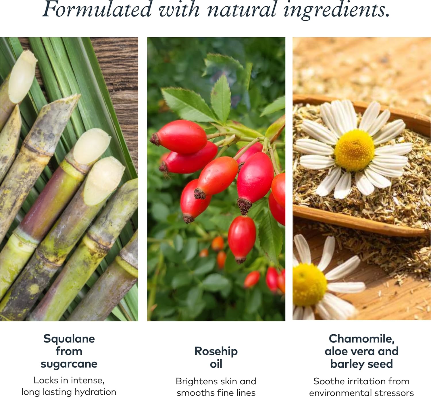 Onekind Dream Cream Night Moisturizer – Hydrating Anti-Aging Face Cream With Squalane, Rosehip & Shea Butter – Fragrance-Free, Vegan, For Dry & Sensitive Skin – 1.7 Oz : Beauty & Personal Care