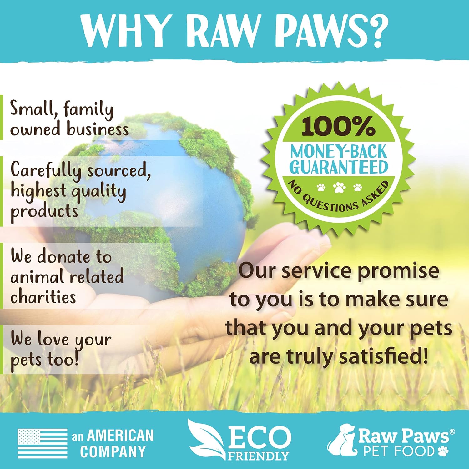 Raw Paws Undercoat Rake & Dematting Tool, 1 ct - 2-Side Undercoat Rake for Dogs & Cats - Dog Rake Brush for Shedding - Dematting Tool for Dogs - Cat Brush for Shedding - Cat & Dog Grooming Rake : Pet Supplies