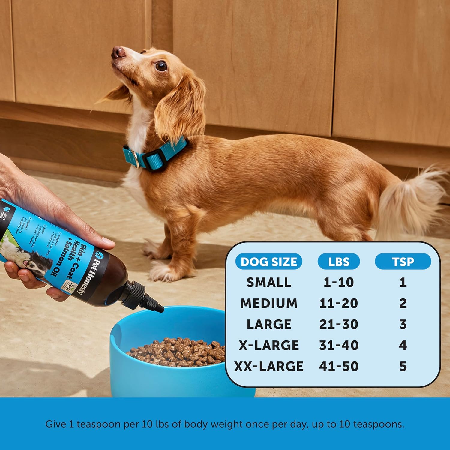 Pet Honesty Dog Skin and Coat Supplement with Salmon Oil for Dogs - Allergy Itch Relief + Skin & Coat Health, Dog Food Topper Bone Broth with Salmon Oil, Collagen, Biotin + Vitamin E (12 oz) : Pet Supplies