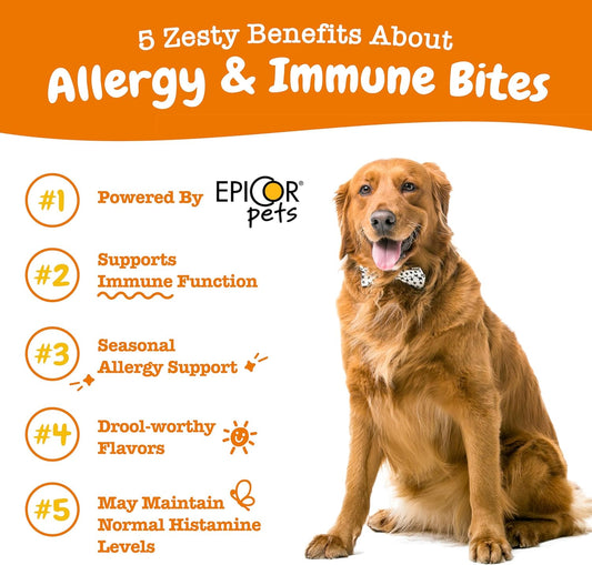 Zesty Paws Dog Allergy Relief - Anti Itch Supplement - Omega 3 Probiotics For Dogs - Digestive Health - Soft Chews For Skin & Seasonal Allergies - With Epicor Pets - Salmon 90 Count