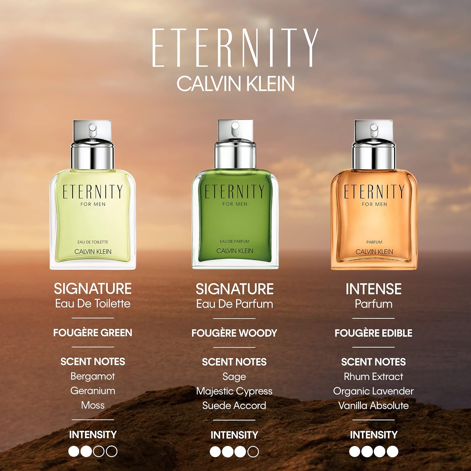 CALVIN KLEIN Eternity - Parfum for Men - Fougere Fragrance with Notes of Organic Lavender, Rhum Extract and Vanilla Absolute - High Longevity - 100ml : Amazon.co.uk: Beauty