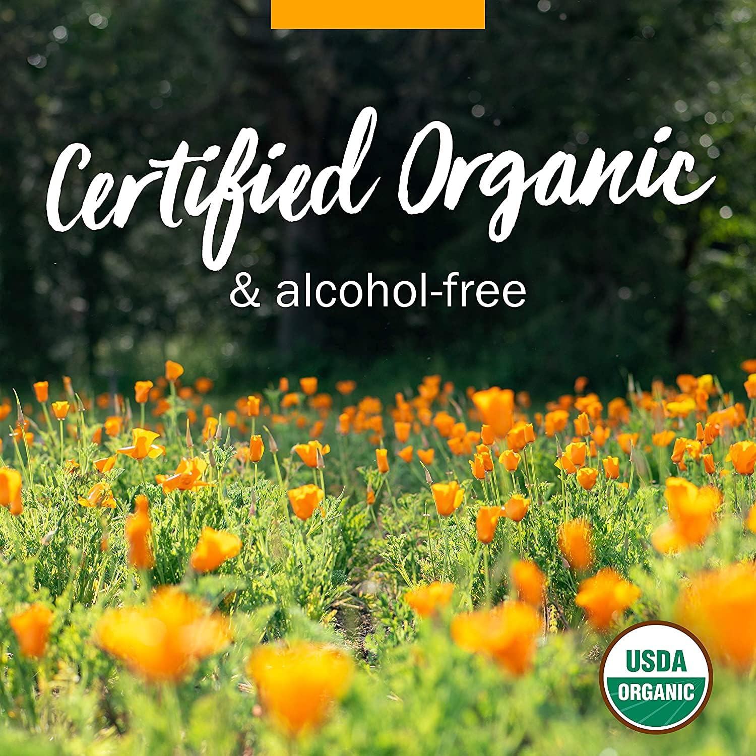 Herb Pharm Kids Certified-Organic Alcohol-Free Throat Tlc Herbal Spray, 1 Ounce : Health & Household