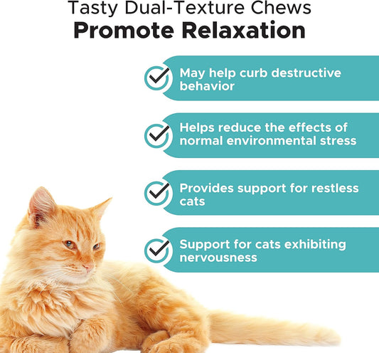 Pethonesty Cat Calming + Cat Immune Support Lysine Dual Texture Chew Supplement Bundle - Helps Reduce Stress And Cat Anxiety Relief, Allergy Relief – Cat Vitamins With Omega 3S