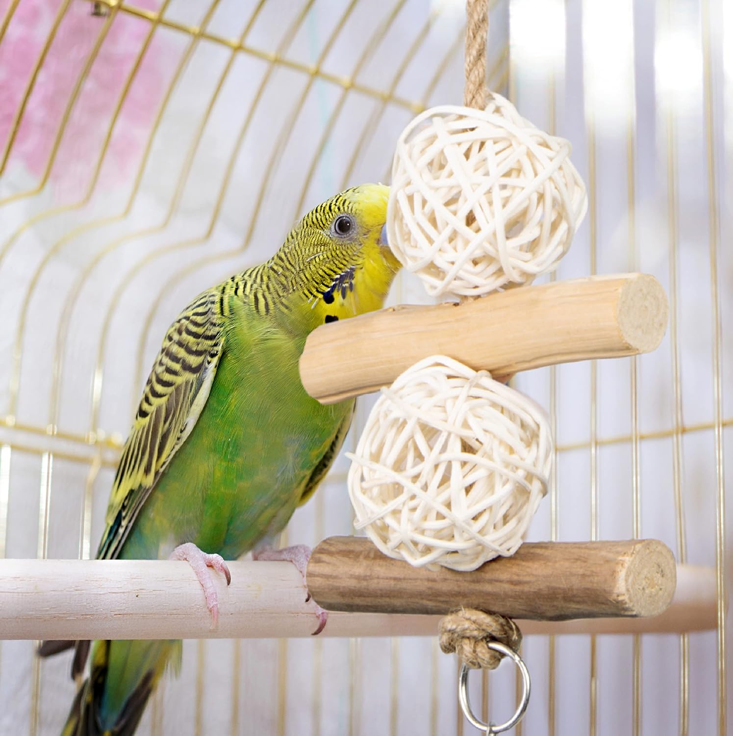 Wild Harvest Chew and Jingle for Cockatiels, Parakeets, Finches and Caged Birds, 1 Count, Toy Made with Real Wood Materials : Bird And Small Animal Toys : Pet Supplies