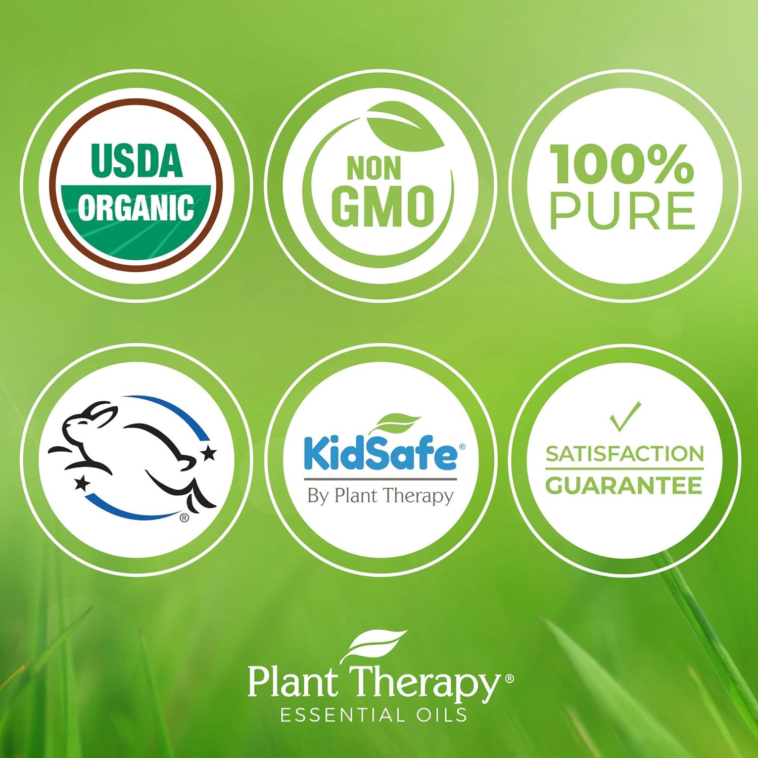 Plant Therapy Organic Lavender Fine 5 mL (1/6 oz) 100% Pure USDA Certified, Undiluted, Therapeutic Grade : Health & Household