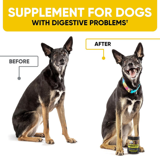 Probiotics for Dogs - Dog Probiotics and Digestive Enzymes for Small, Medium and Large Dogs - Support Gut Health, Itchy Skin, Allergies, Yeast Balance, Immunity (180 Chews)