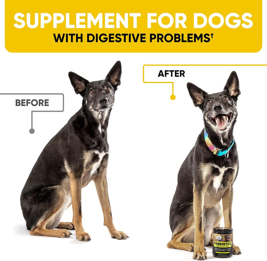 Probiotics For Dogs - Dog Probiotics And Digestive Enzymes For Small, Medium And Large Dogs - Support Gut Health, Itchy Skin, Allergies, Yeast Balance, Immunity (180 Chews)