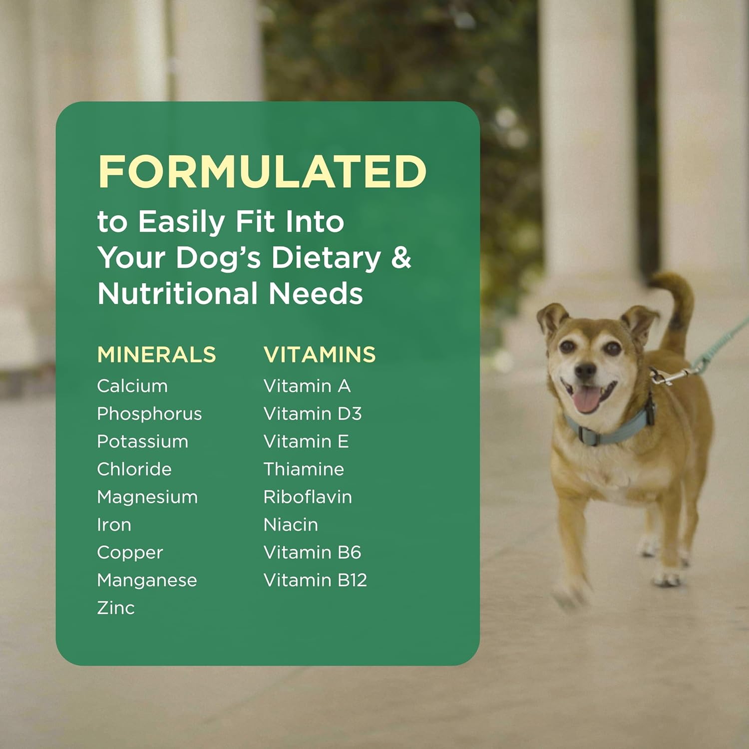 Pet-Tabs Multivitamin and Mineral Supplement for Dogs with Special Nutritional Needs, Chewable Tablet, 180 Count Bottle : Pet Multivitamins : Pet Supplies