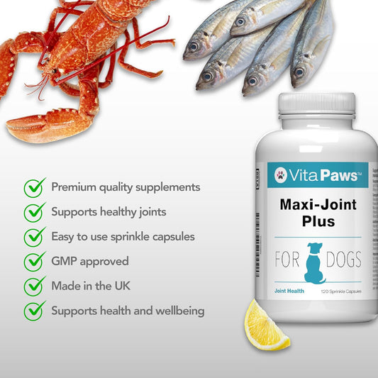 Maxi-Joint Plus VitaPaws™ 120 Sprinkles Capsules | Advanced Joint Support for Dogs | Manufactured in The UK