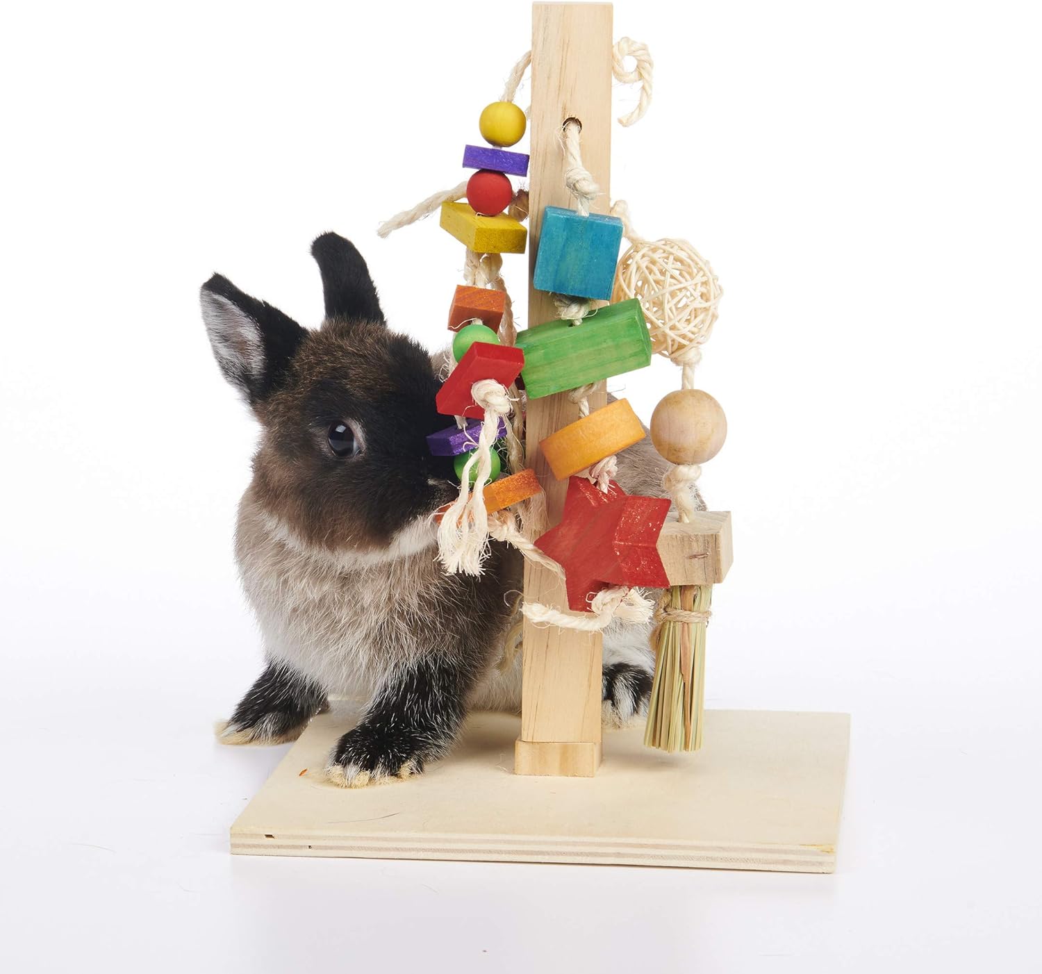 Oxbow Enriched Life Rabbit Play Post Small breeds : Pet Supplies