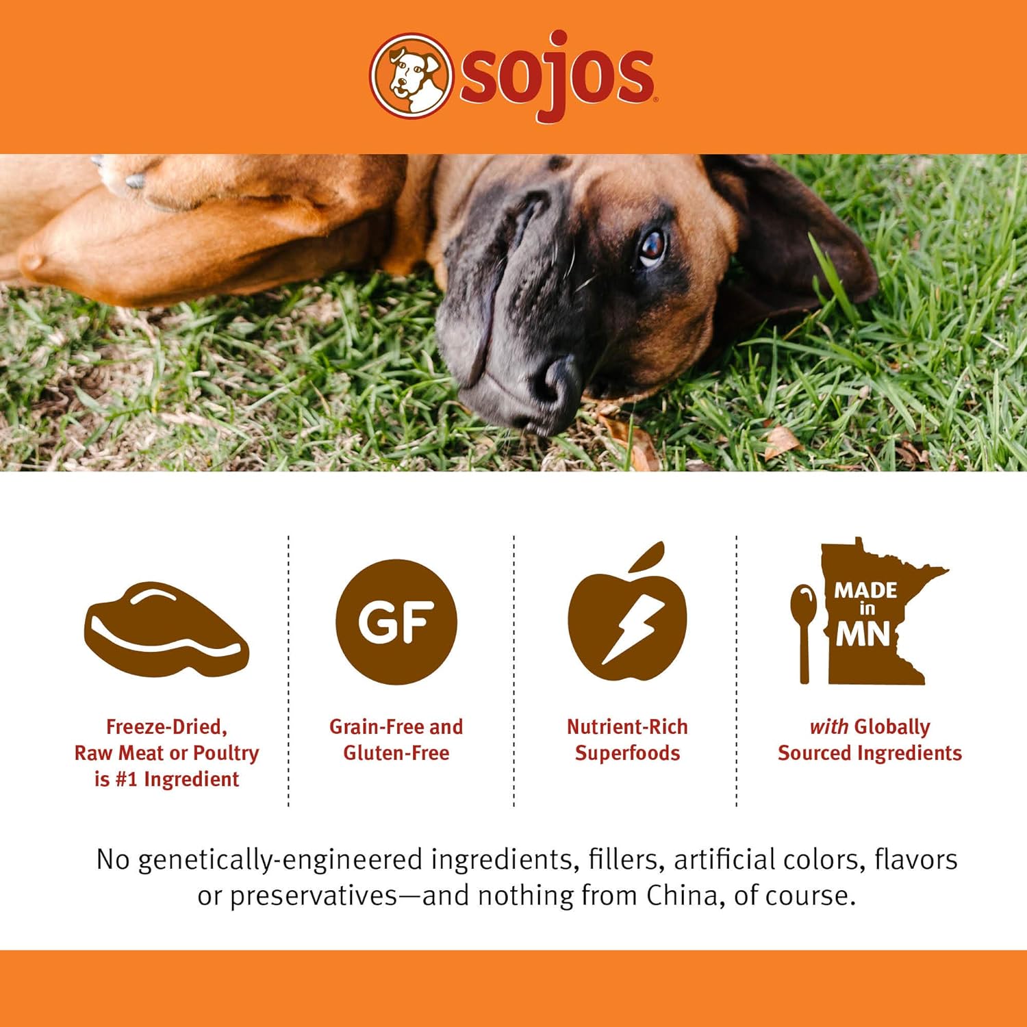 Sojos Complete Beef Recipe Adult Grain-Free Freeze-Dried Raw Dog Food, 7 Pound Bag : Pet Supplies