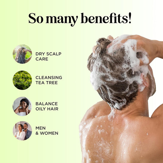 Clarifying Shampoo For Build Up & Oily Hair - Tea Tree Shampoo For Men And Women With Rosemary Essential Oil For Oily Hair And Scalp - Color Safe Vegan Sulfate Silicone & Paraben Free (10 Fl Oz)