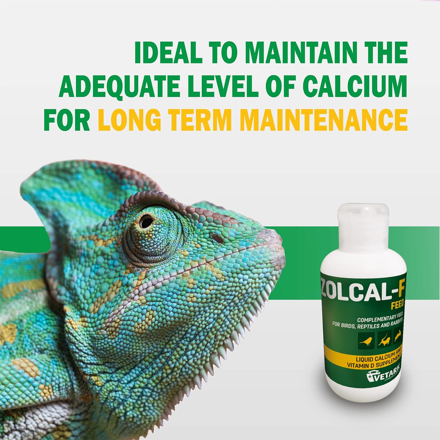 Zolcal-F Feed |Liquid Calcium & Vitamin D3 Supplement for Birds, Reptiles & Rabbits | Water-soluble | 120ml :Pet Supplies