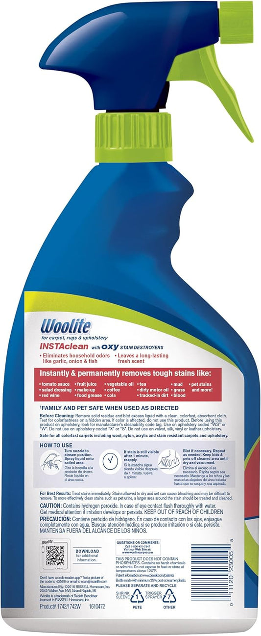 Woolite InstaClean Permanent Stain Remover, 2 Pack, 21799
