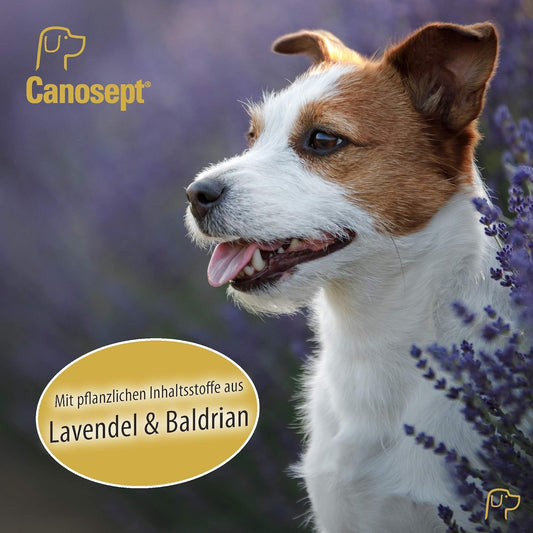 Canosept Home Comfort Dog Calming Spray 100ml - For calming and decreasing signs of stress in Dogs - Reduces unwanted and aggressive behaviour - With valerian and lavender?250671