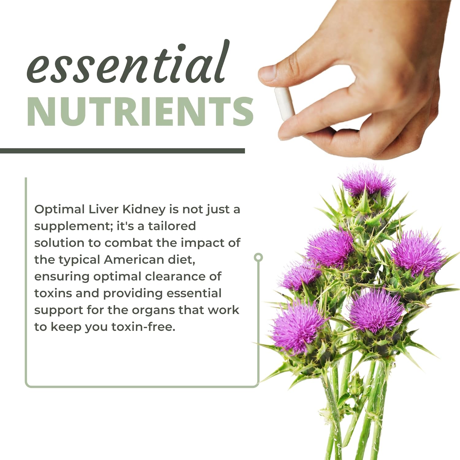 Optimal Health Systems Liver/Kidney | Detox & Cleanse | Milk Thistle, Dandelion, Barberry, Molasses + Opti-Blend Enzymes For Absorption | 90 Capsules : Health & Household