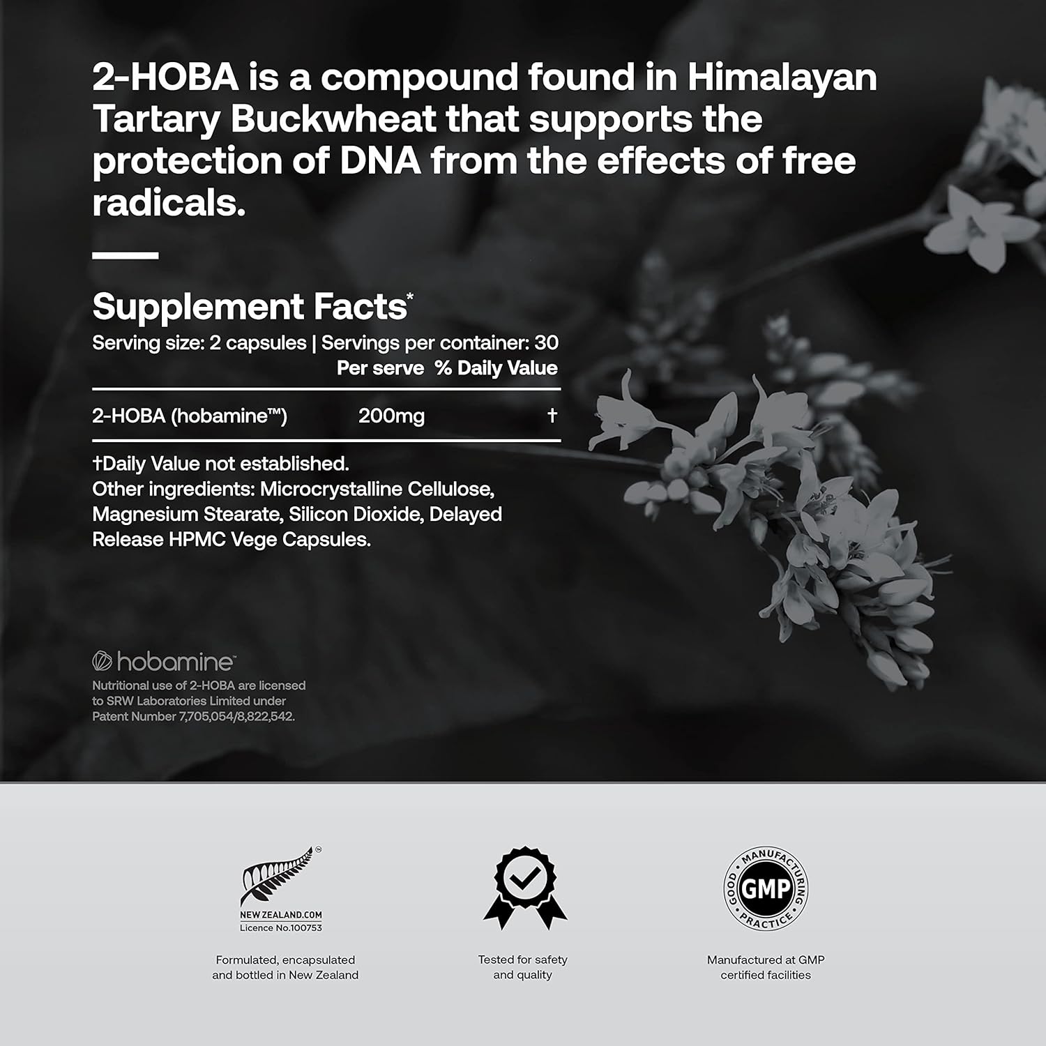 Srw Laboratories 2-Hoba Supplement With Hobamine | Supports Healthy Aging, Brain Function, Dna Integrity, & Cellular Defence | Protection From Harmful Free Radicals | 60 Capsules : Health & Household