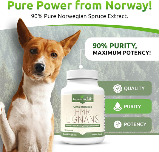 Lignans For Life Hmr Lignans 20Mg - 90 Capsules - Vitamin For Healthy Pet | Natural Multivitamin | Wellness Supplement | Overall Health With Phytonutrients