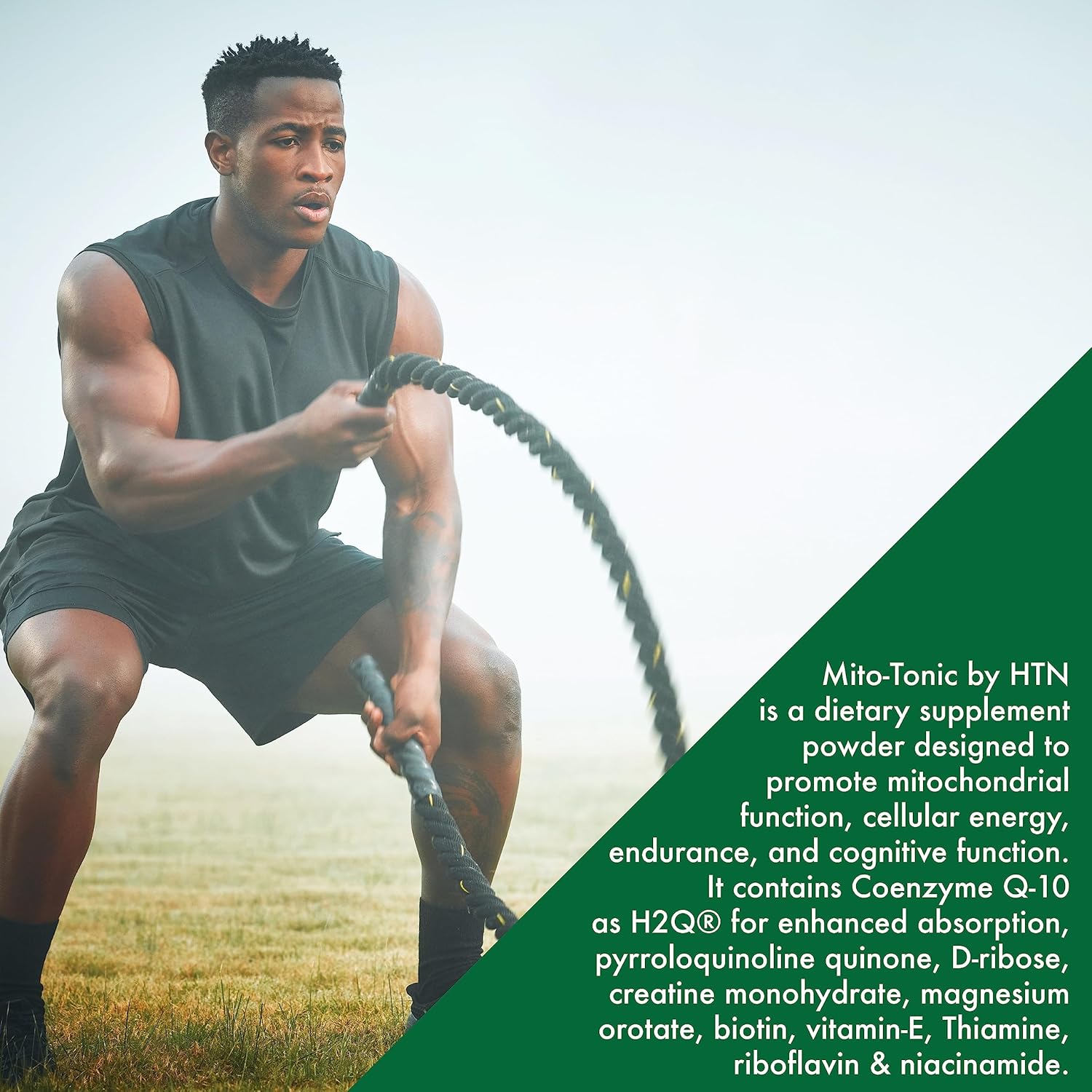 Health Thru Nutrition Mito-Tonic Advanced Mitochondrial Drink Mix | Coq-10, Pqq, D-Ribose, L-Carnitine & More | Cellular Energy & Cardiac Function Support | Keto Friendly | Non-Gmo (30 Servings) : Health & Household