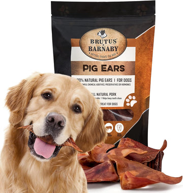 100% Natural Whole Pig Ear Dog Treat - 12 Pack Our Healthy Pig Ears Are Easy To Digest, Chemical & Hormone Free Thick Cut For Aggressive Chewers, Great Small Or Large Dogs