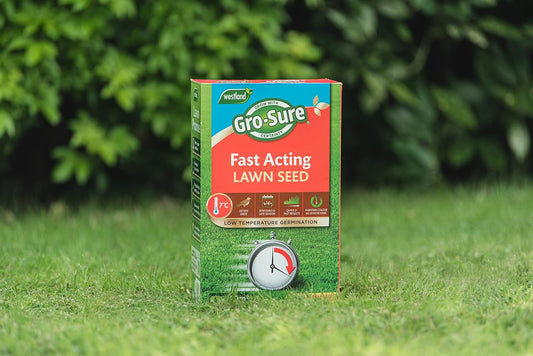 Gro-Sure 20500187 Fast Acting Grass Lawn Seed, 30 m2, 900 g?20500187