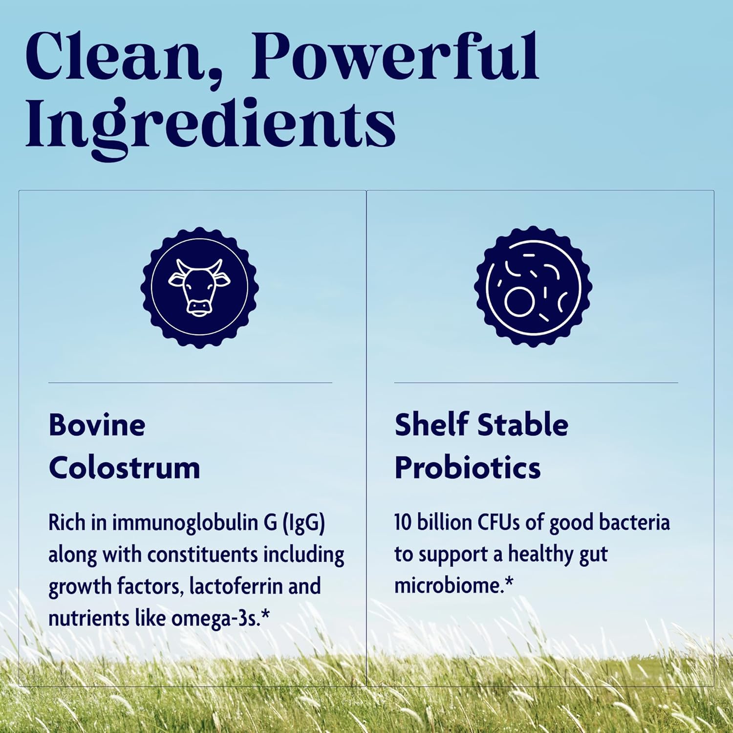 Enzymedica, Colostrum, Powder With Probiotics, Colostrum For Women, 2G, Bovine Colostrum, + 10 Billion Cfu, Grass-Fed, Gut & Immune Support, Colostrum Supplement, 30 Servings : Health & Household