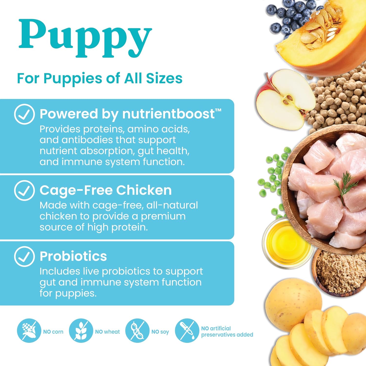 Solid Gold Dry Puppy Food w/Nutrientboost - Made with Real Chicken & Nutritious Superfoods - Love at First Bark Grain Free Puppy Dry Food for Healthy Growth, Energy and Gut Wellness - 3.75 LB Bag : Pet Supplies
