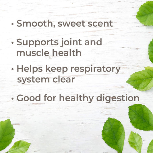 Plant Therapy Copaiba Oleoresin 30 Ml (1 Oz) 100% Pure, Undiluted, Therapeutic Grade